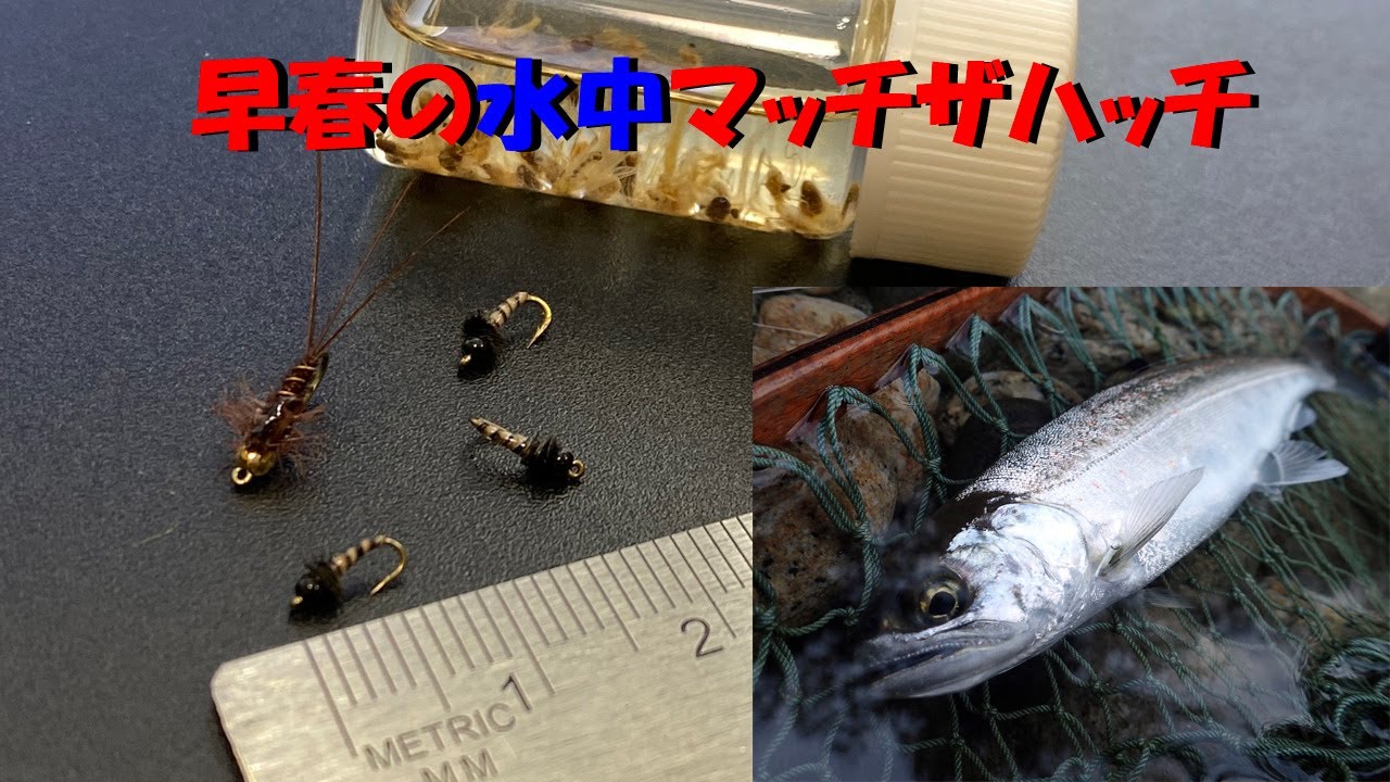 【早春の水中マッチザハッチ・フライタイイング】FLYTYING