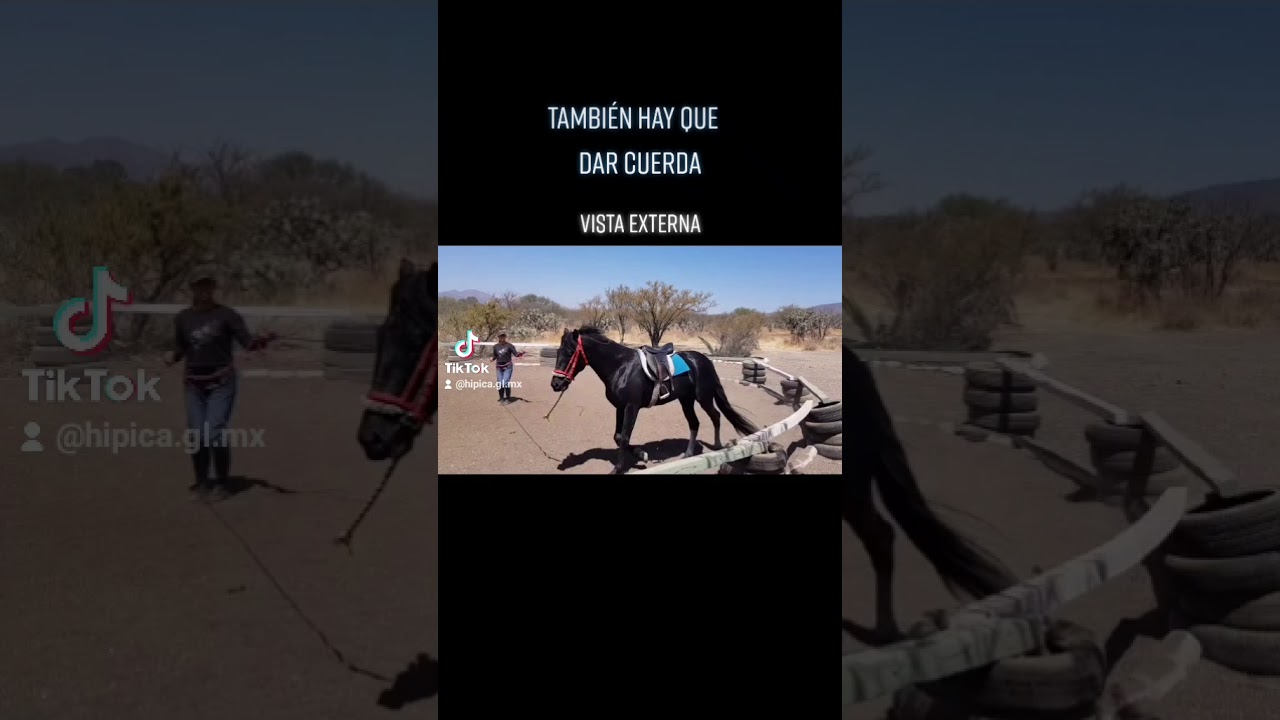 El arte de dar cuerda