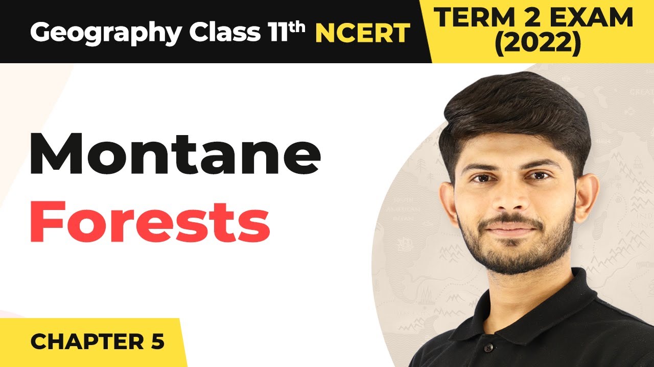 Class 11 Geography Chapter 5 | Montane Forests - Natural Vegetation