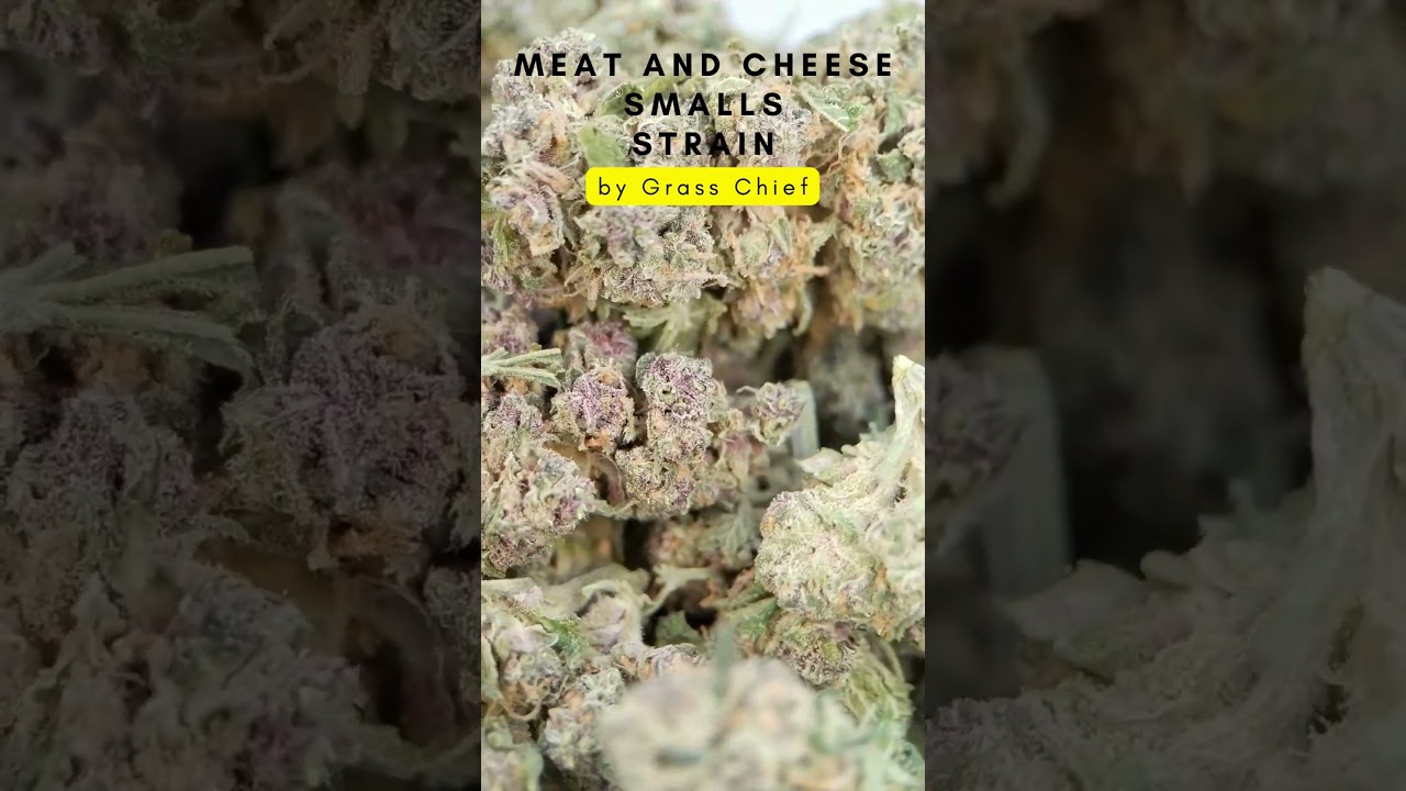 Meat and Cheese Strain in Smalls by Grass Chief