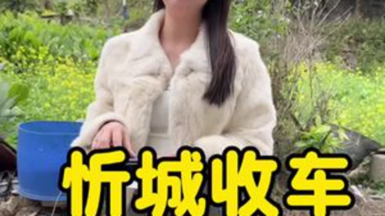 到达忻城古蓬镇看一台马卡龙#日常vlog #收车实录 #搞笑