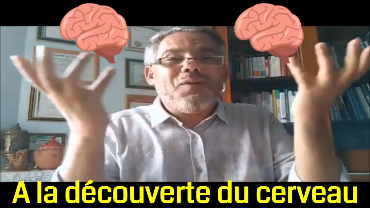 معلومات في القمة حول تربية الاولاد