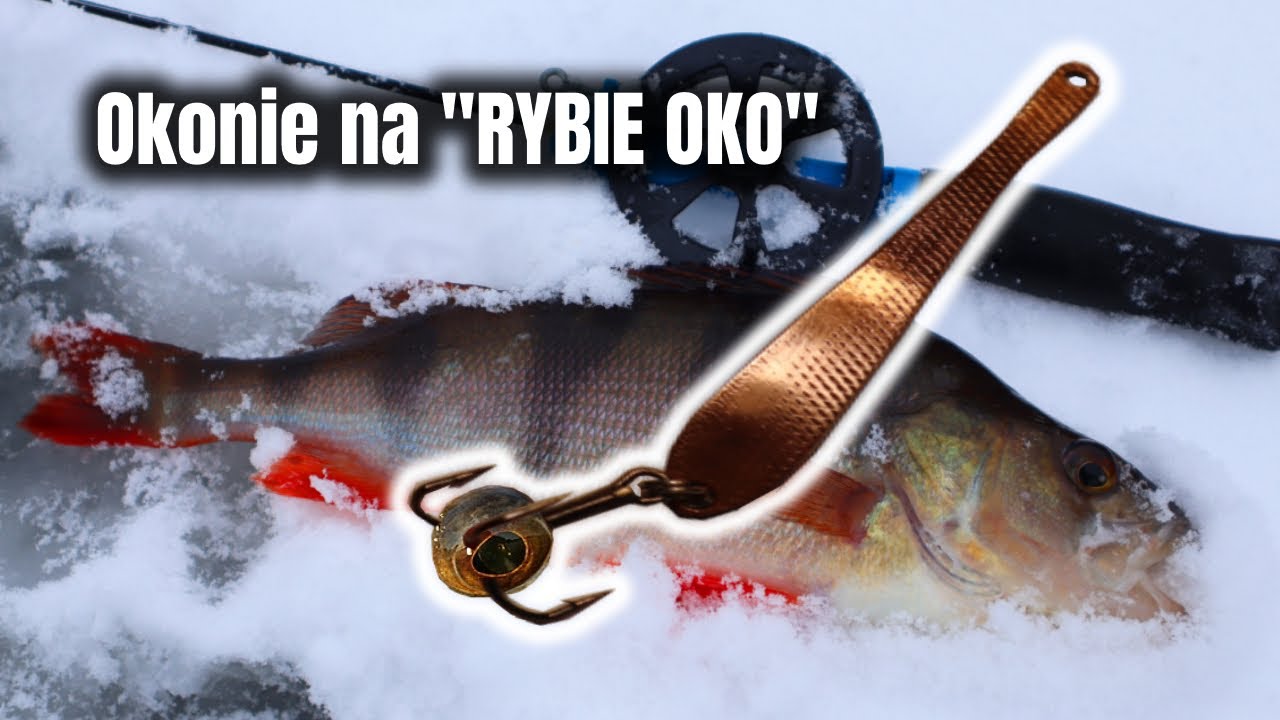 Okonie na RYBIE OKO | Okonie na błystkę podlodową Z CELOWNIKIEM