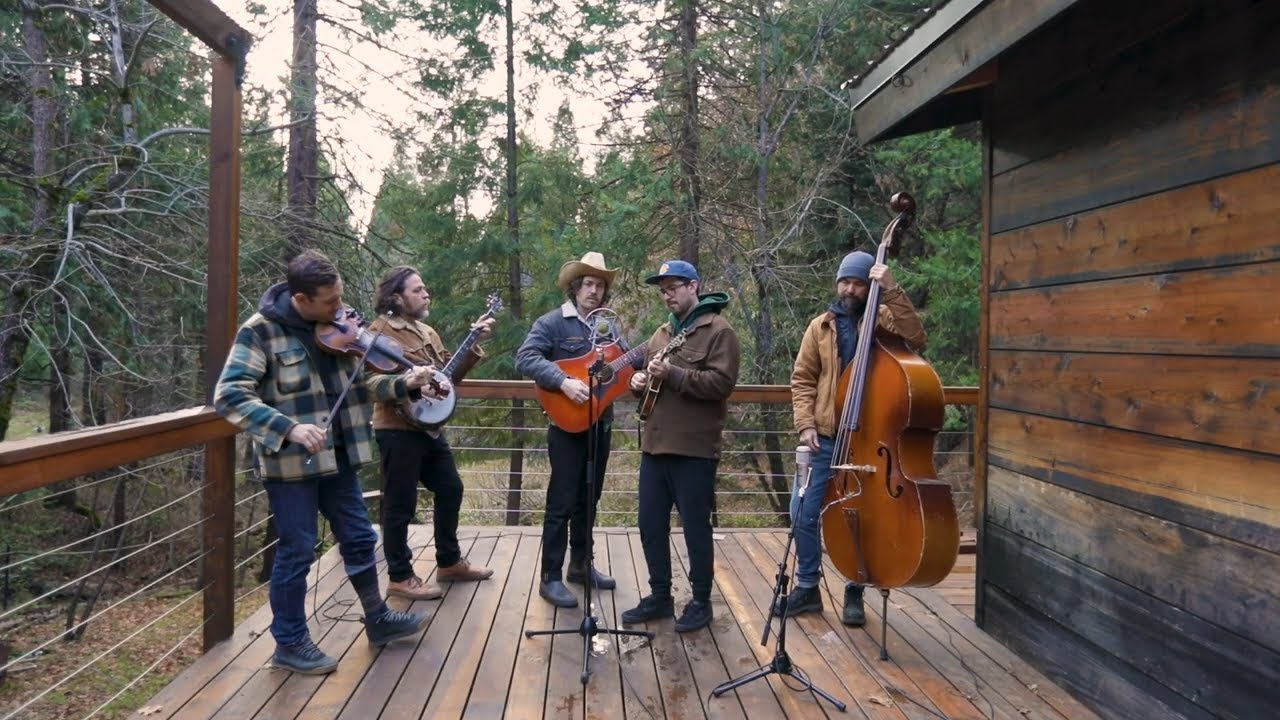 The Brothers Comatose - 