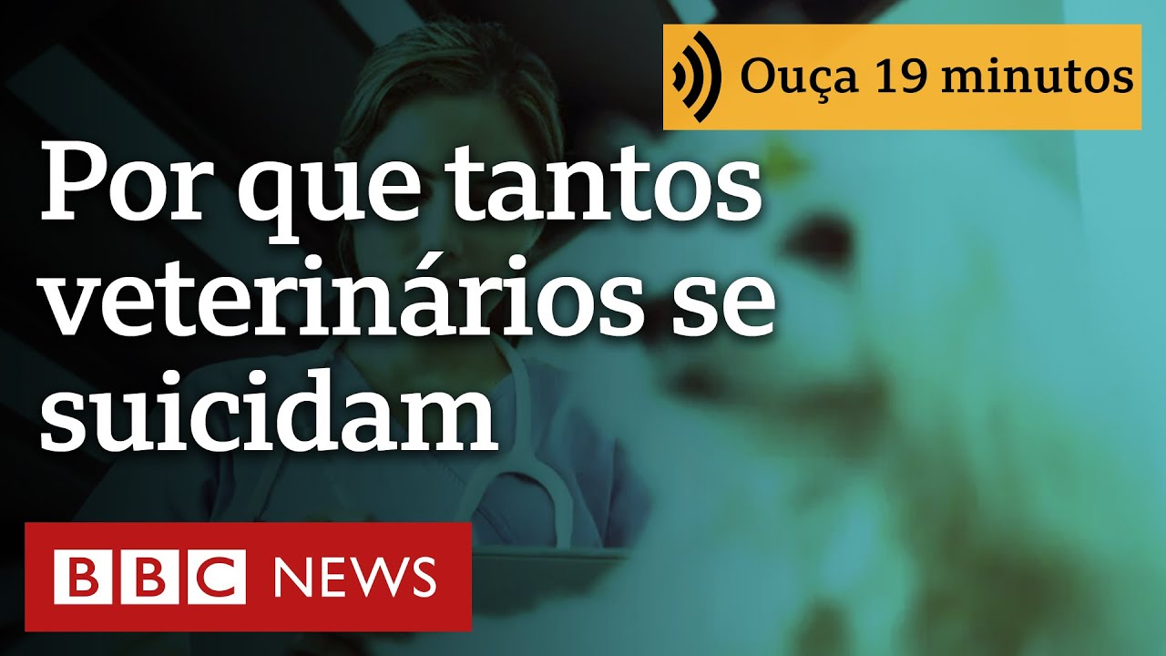 A crise de saúde mental que leva tantos veterinários ao suicídio: 'Acham que somos São Francisco'