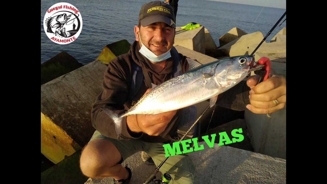 #2020# 🎣🎣🔝SPINNING en Espigón Punta del Moral, AYAMONTE,HUELVA #MELVAS#