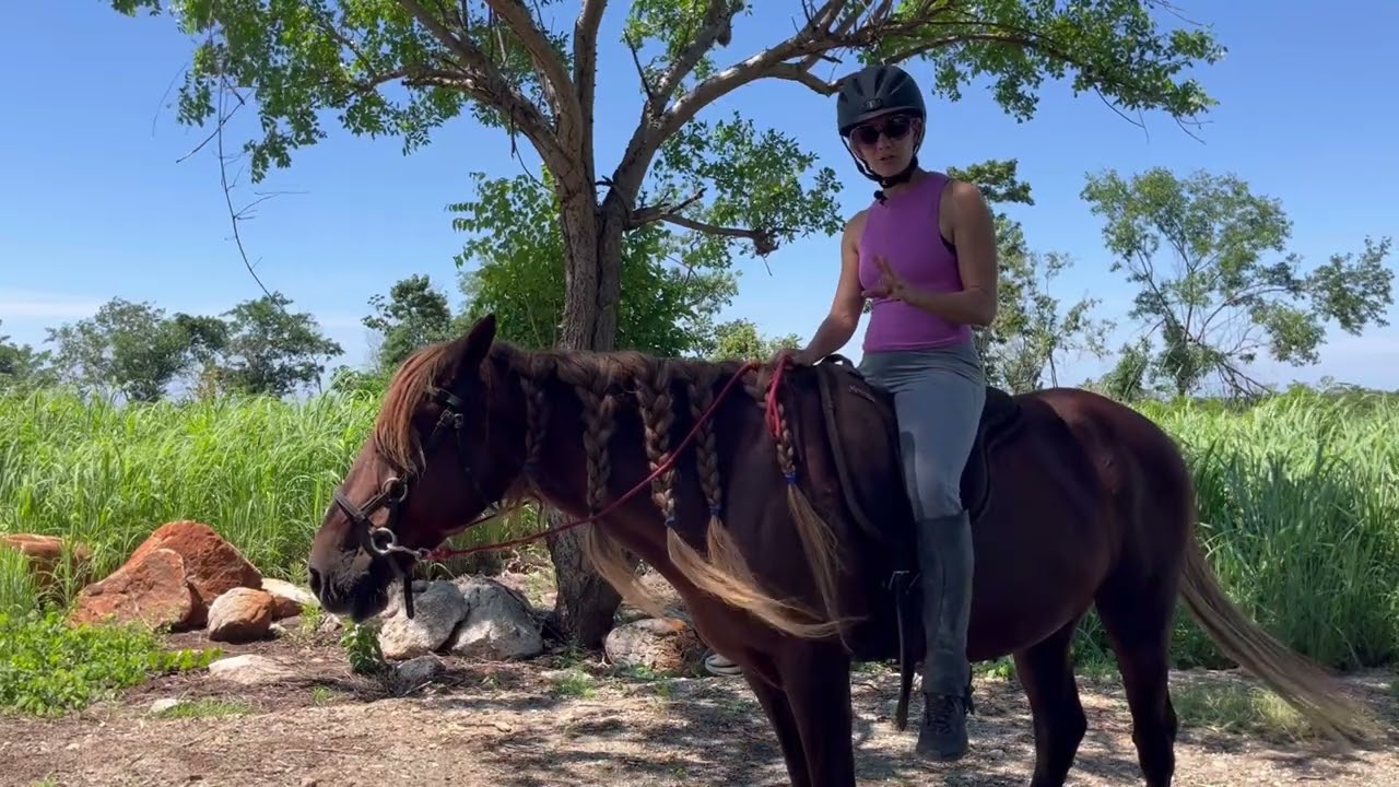 3 Unique Exercises to Improve Contact and Leg Position