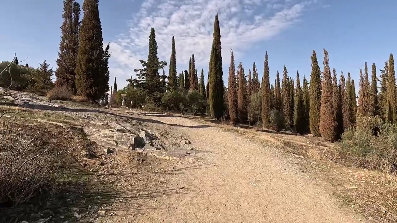 Περπατώντας στο αισθητικό δάσος Καισαριανής