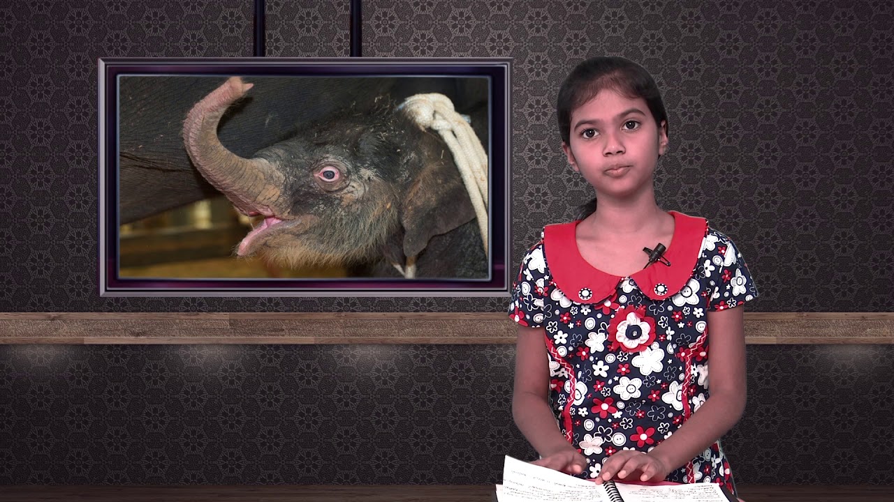 Elephant | Nature Talk Presented By Sis.Parousia Glory | Tamil | Muthoothan Media