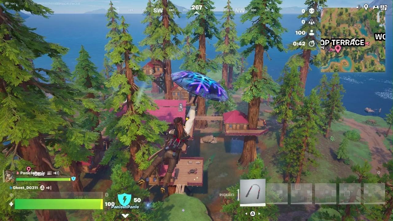 Fortnite Win