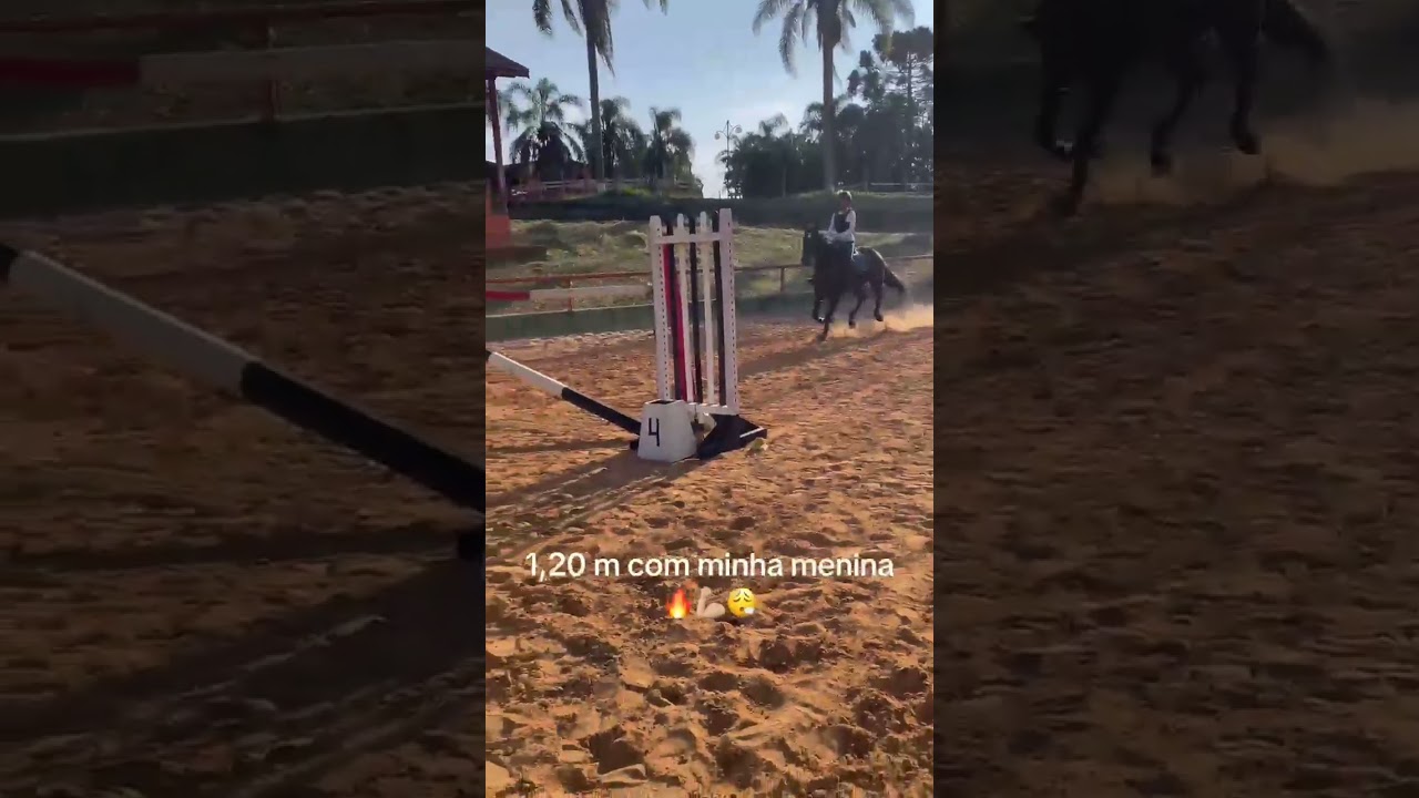 Ela voa 🐴🚀🪽🍀 #cavalos #equestrianjourney #equestrian #horse #hipismo #equestriangirl