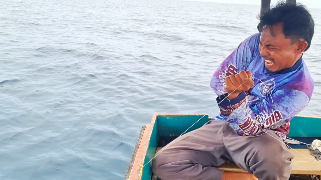 TIBA TIBA IKAN BESARNYA BERDATANGAN, MENCIUM AMISNYA UMPAN HIDUP