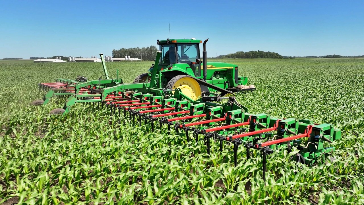 The Battle of the Weeds | Custom Organic Row Crop Cultivator |