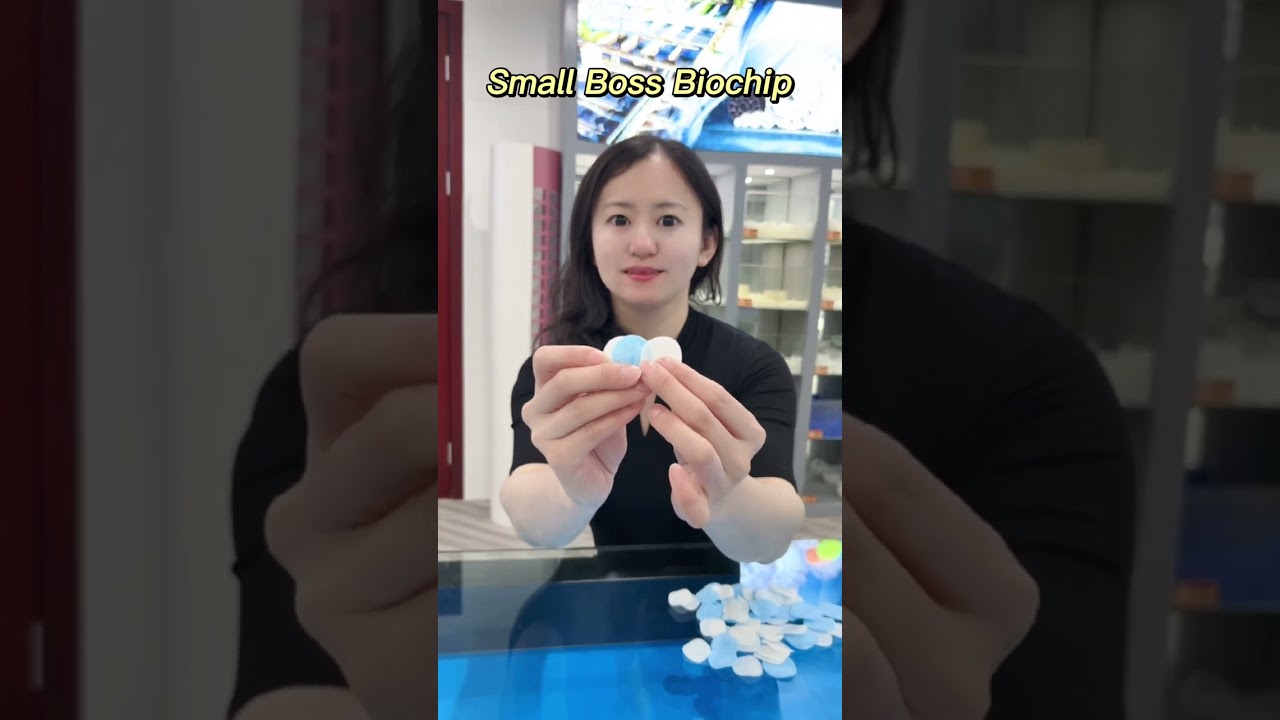 Experience the SmallBoss Biochip