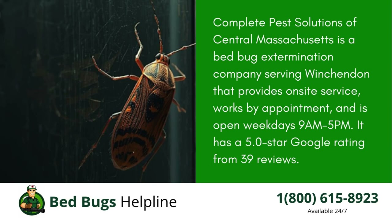 Top 3 Bed Bug Removal in Winchendon