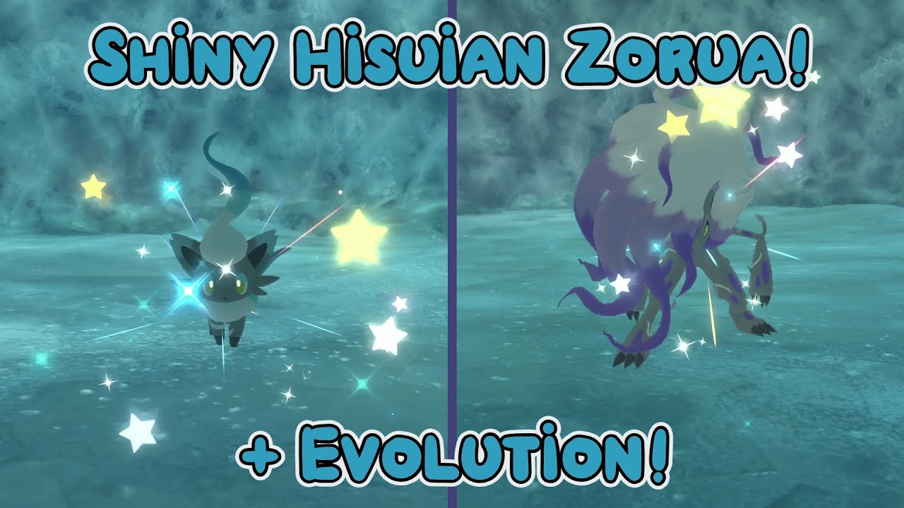 Live Shiny Hisuian Zorua + Evolution! - Pokemon Legends Arceus