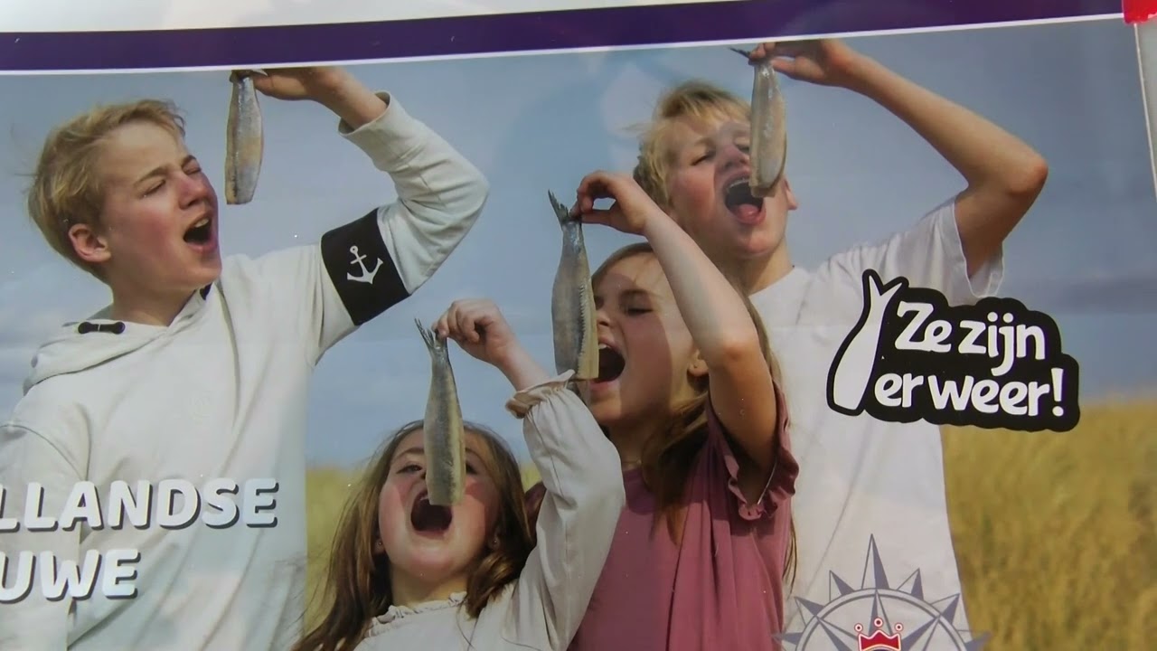 Nieuwe haring is weer lekker vet