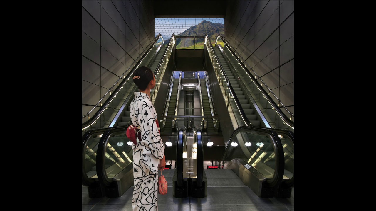猫 シ Corp. : Palm Mall Mars