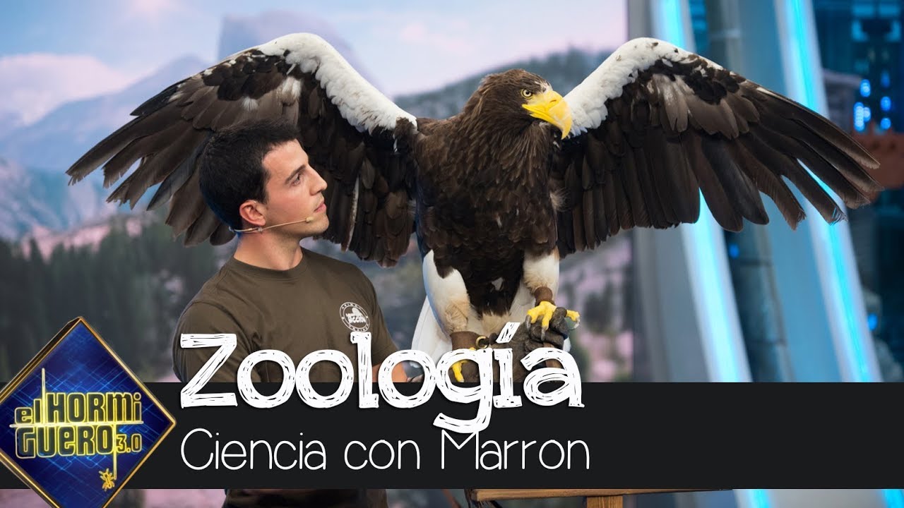 Elsa Pataky, fascinada con el especial de zoología de Marron - El Hormiguero 3.0