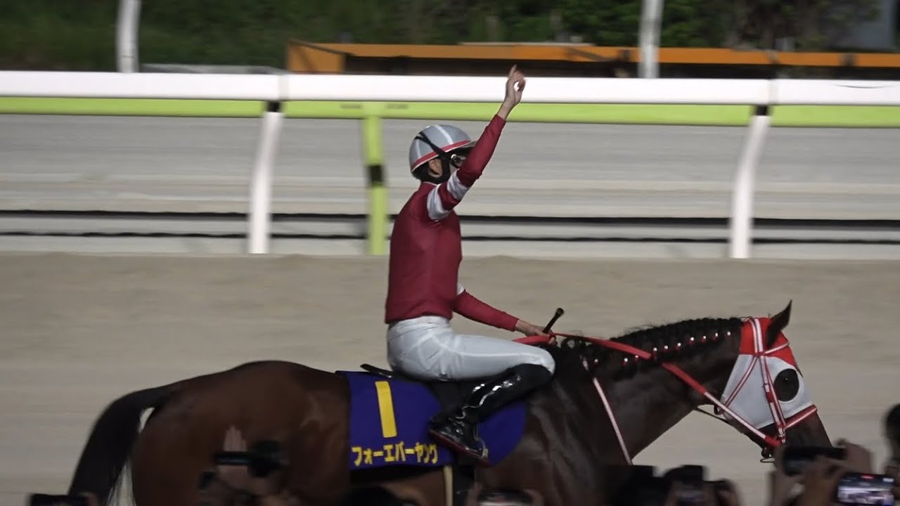 【現地】2024 jpn1 ジャパンダートクラシック フォーエバーヤング 坂井瑠星【瑠星コール】