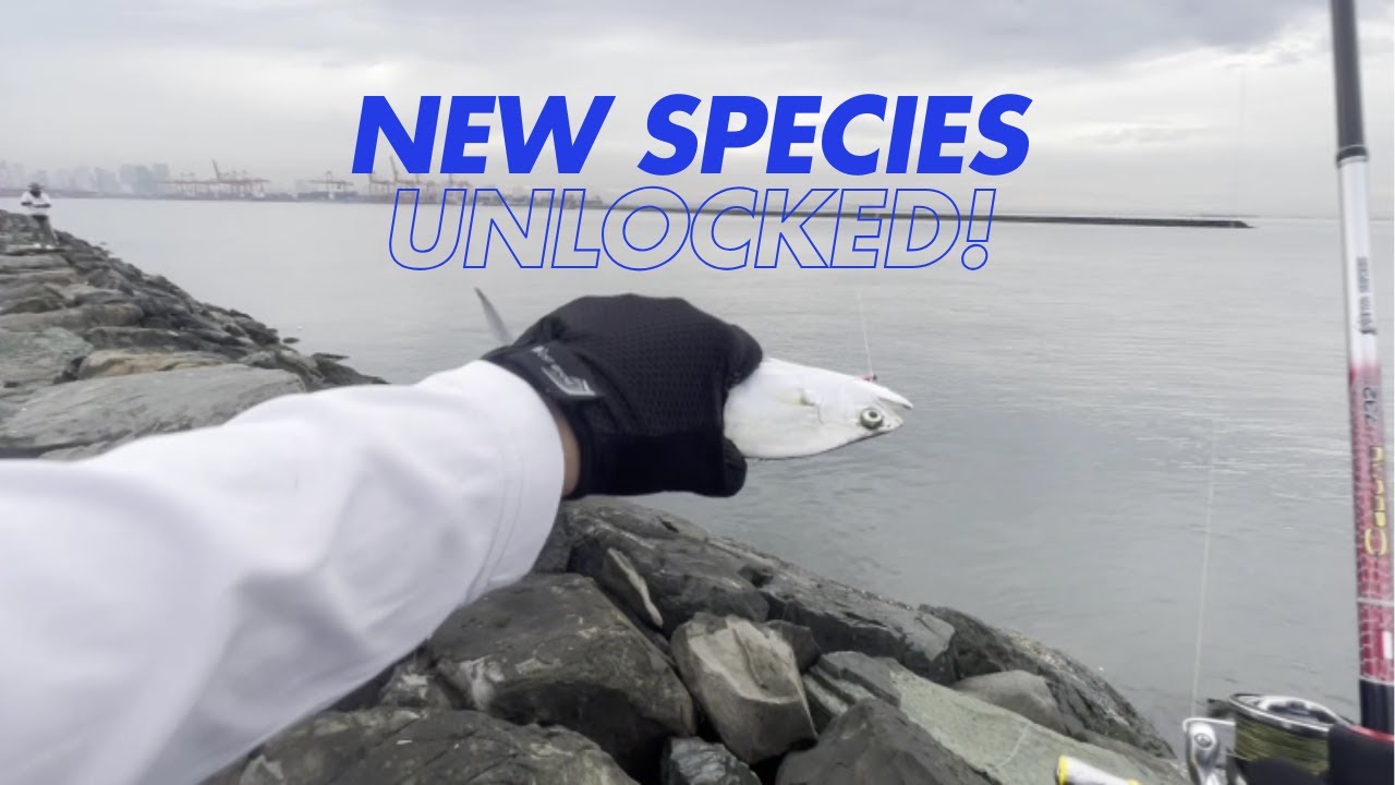 Manila Bay Fishing Vlog Episode 4: New Spot MICT Manila Bay