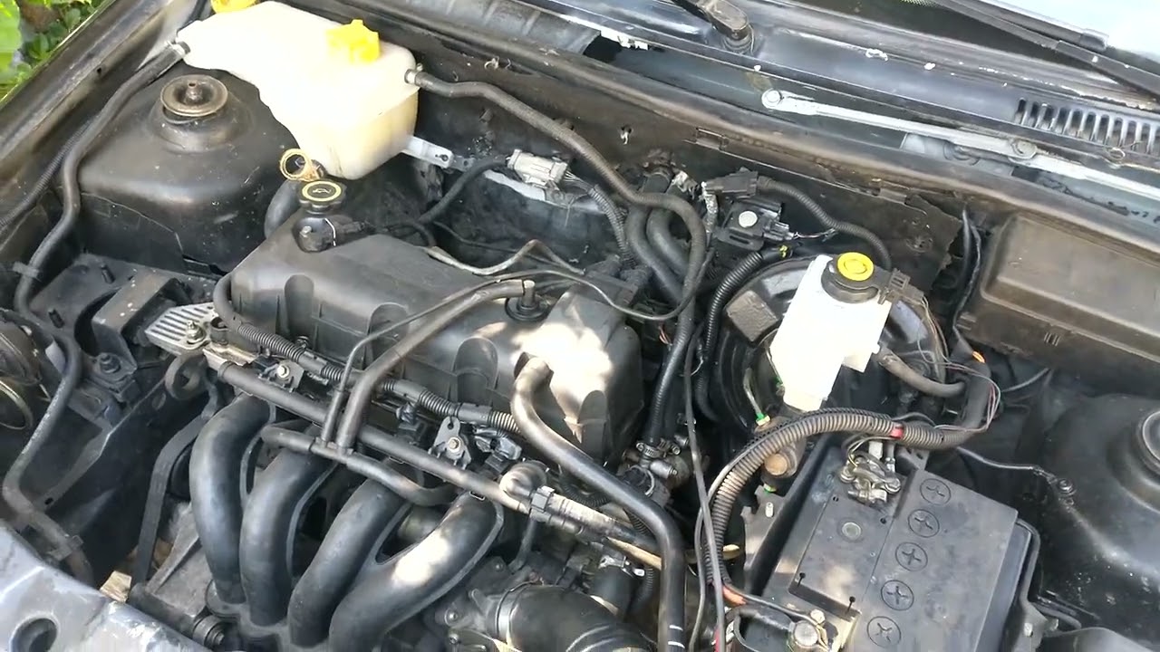 Por que se pueden quedar acelerados los motores Zetec 1.6  de la Courier, Ka o Ikon Peluso Tv