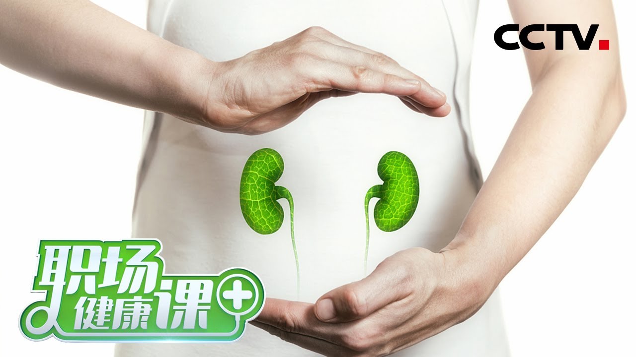 想养生先养肾，如何更好地呵护你的肾脏？肾虚有哪些表现、怎么补才好？「职场健康课」20221113 | CCTV财经