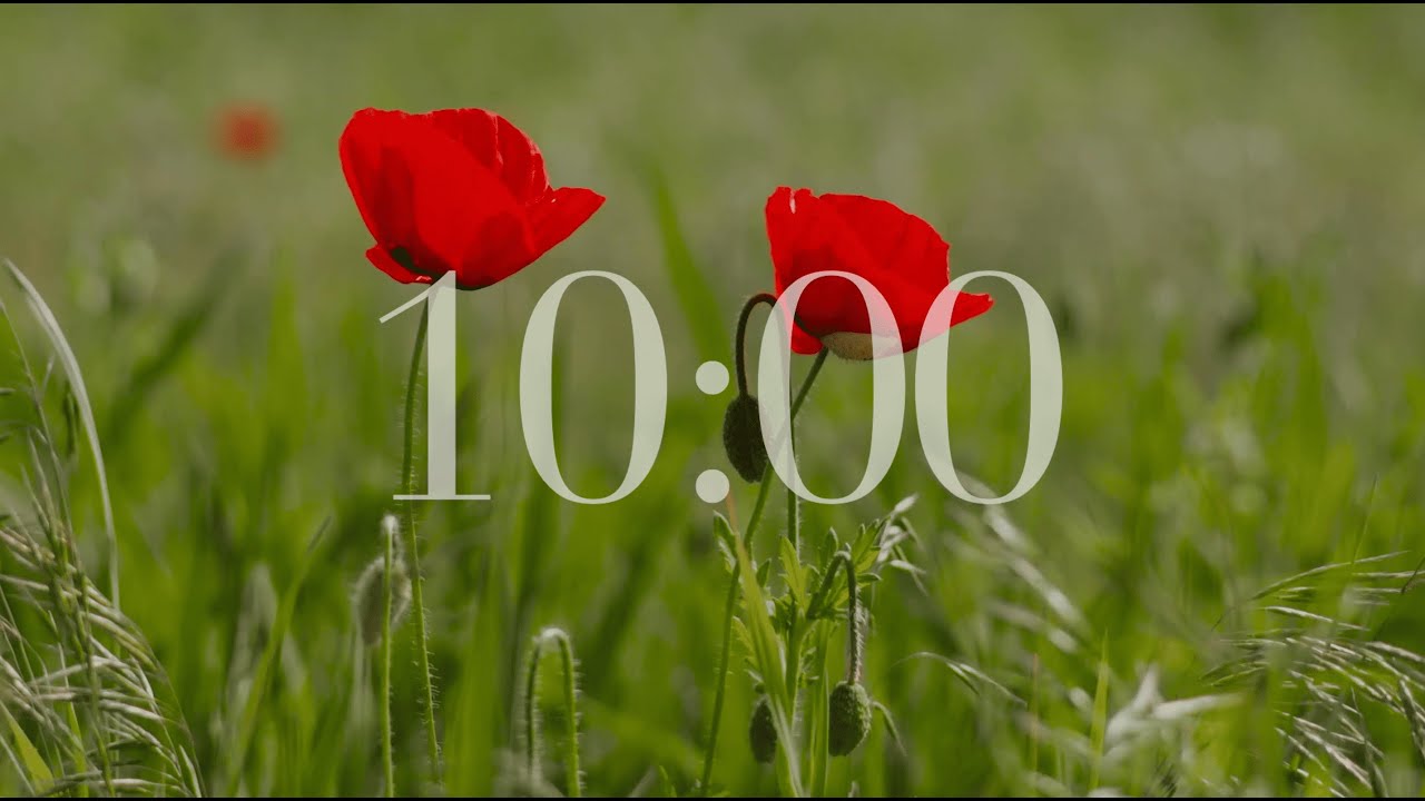 10 Minute Countdown Timer (Flower/Field/Relaxing Music)