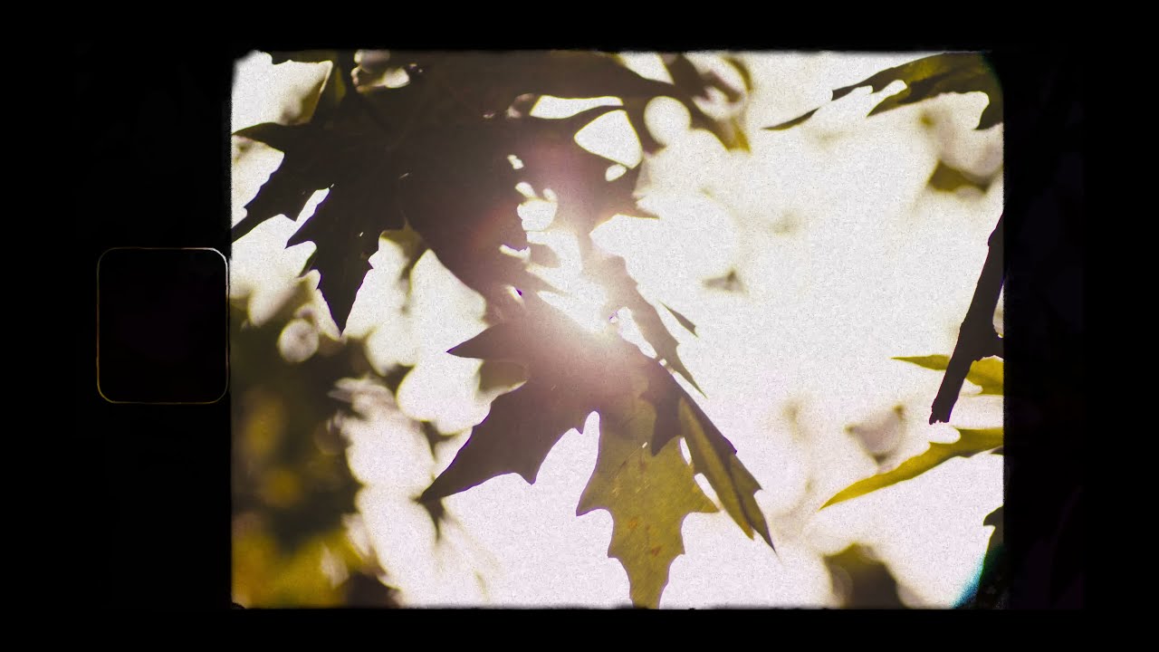 I&lsquo;ve tried - Charis Laurijsen