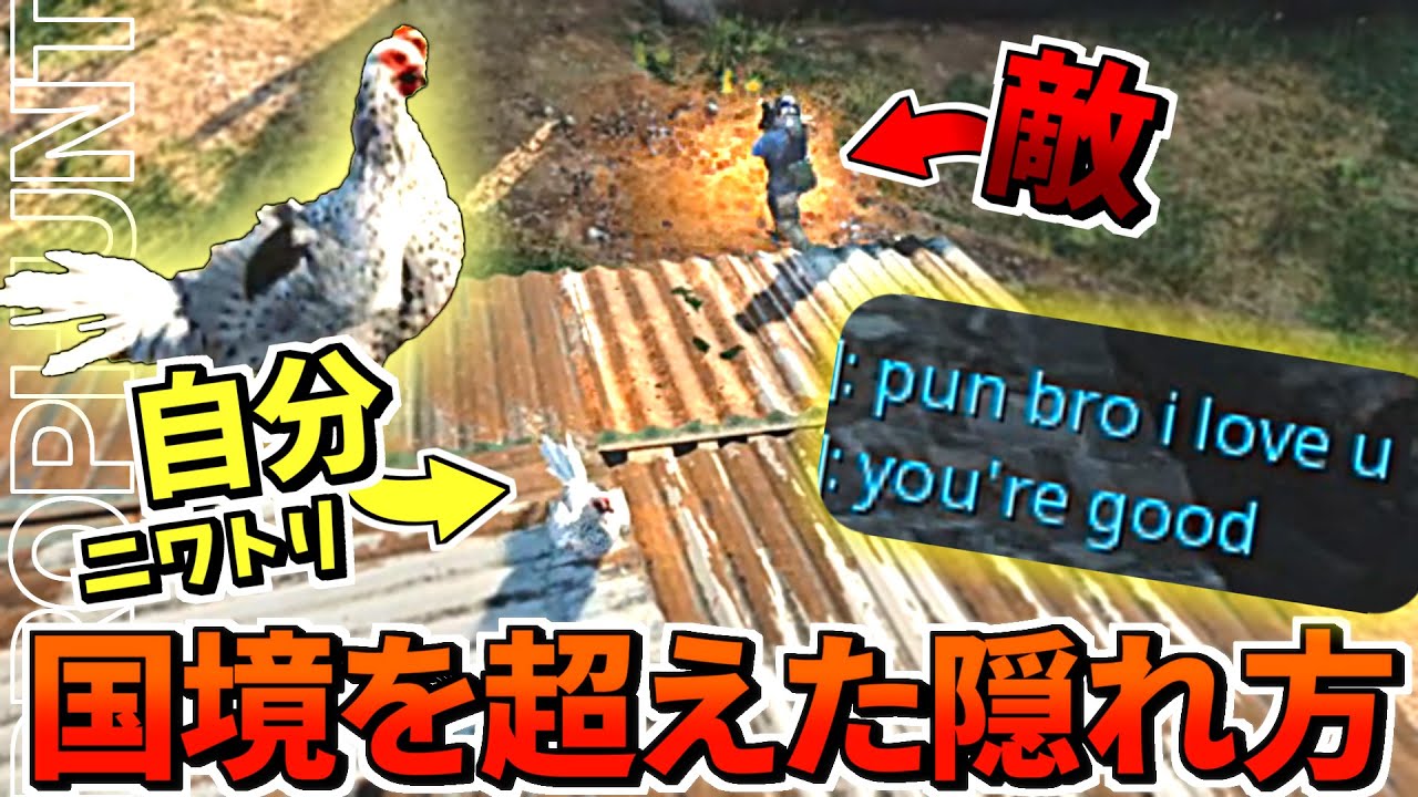 【物体かくれんぼ】海外勢べた褒め！ニワトリで隠れた結果が草...【Prophunt cod】
