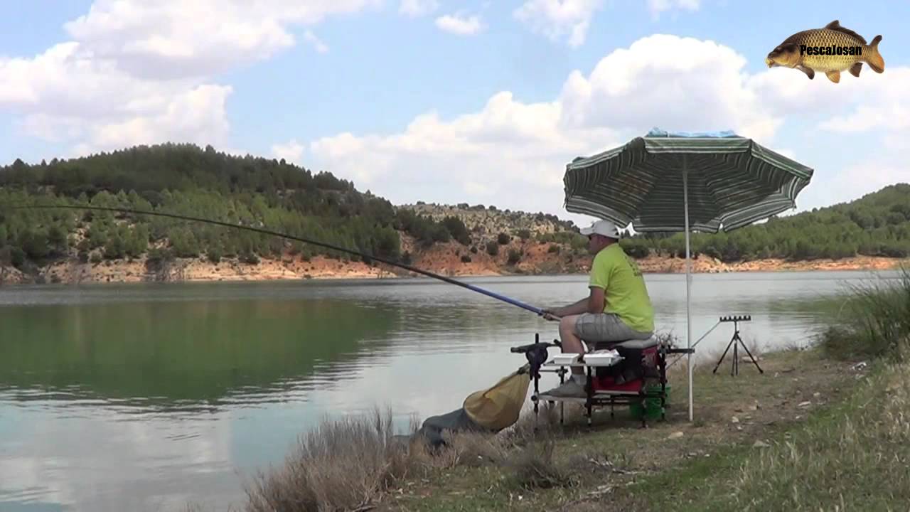 Pesca de carpas al Coup frente a Inglesa.