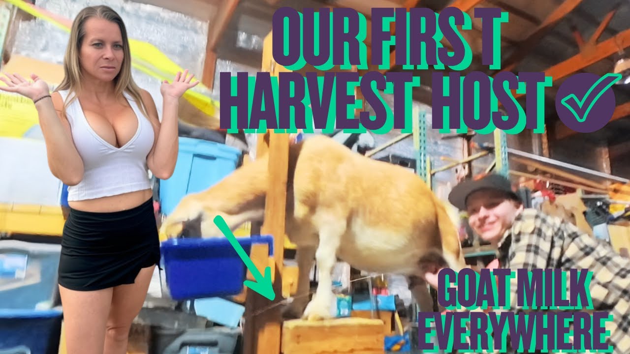 Кемпинг на автодоме в дикой местности — первое пребывание у хозяина Harvest Host.
