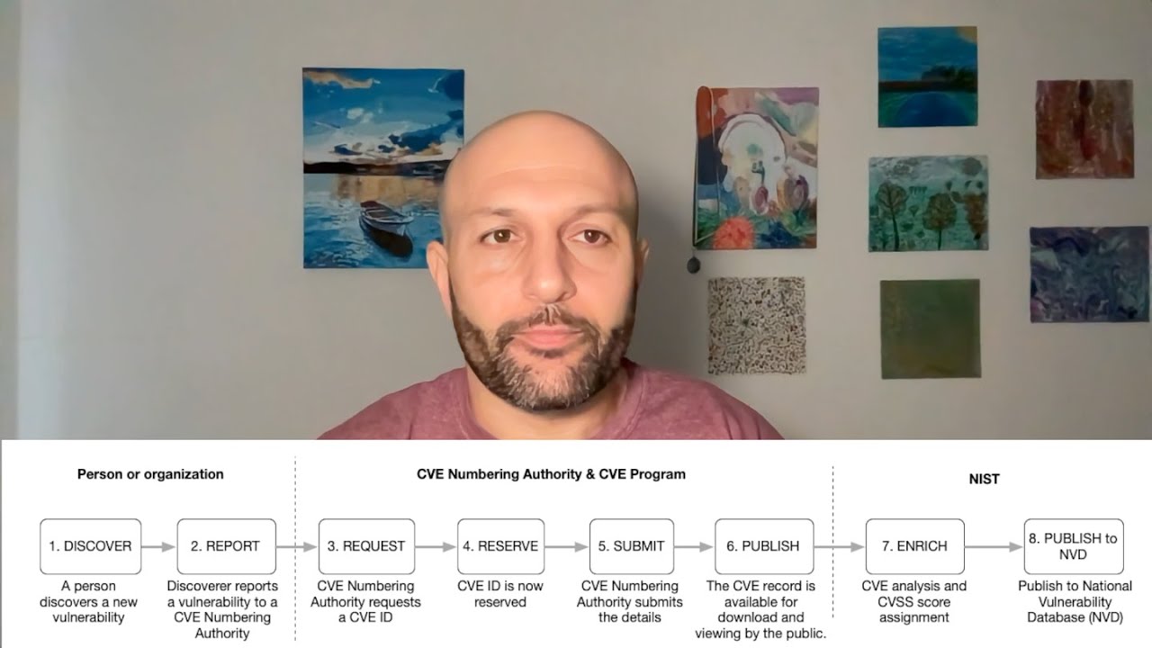 The science of application security risk with CVEs