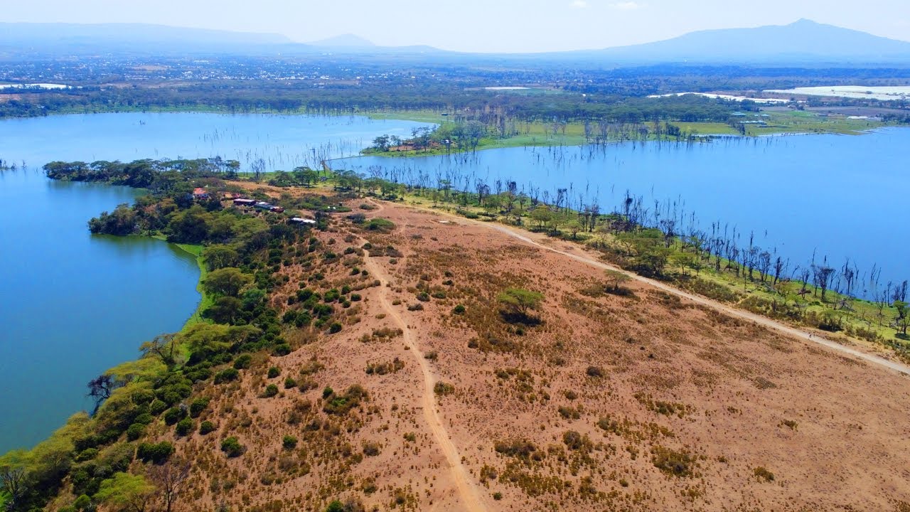 Epic Road Trip to Crescent Island Naivasha