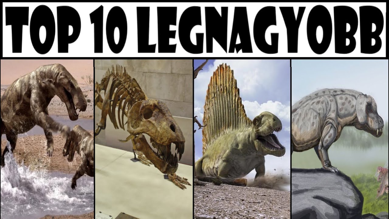 Top 10 Legnagyobb Ragadoz&oacute; Synapsida