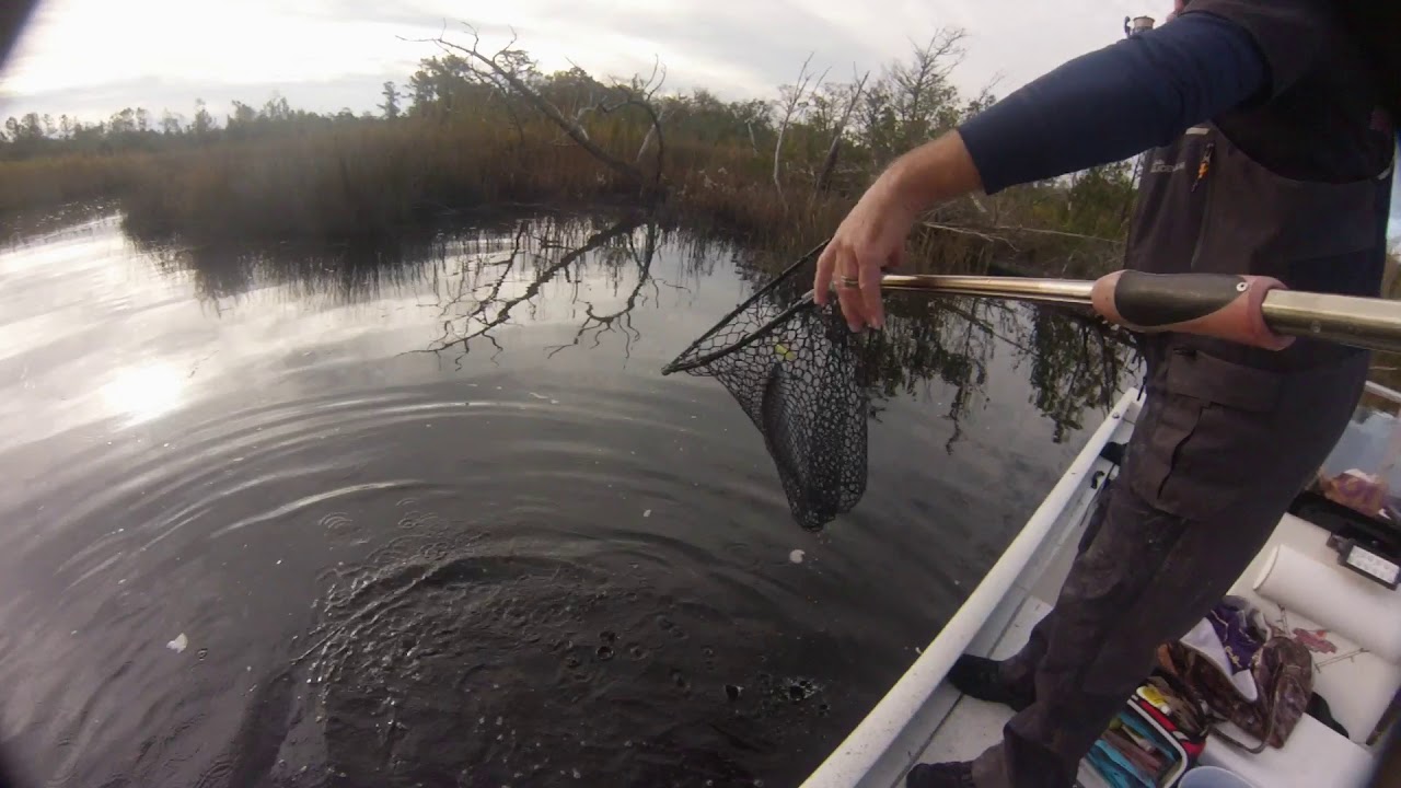 SPECKLED TROUT FISHING SWANSBORO NC
