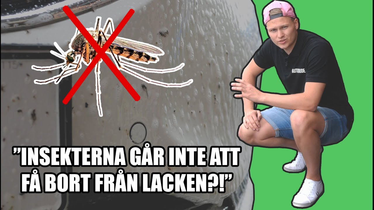 FUNGERAR VERKLIGEN EN INSEKTSBORTTAGARE? (PRODUKTTEST)