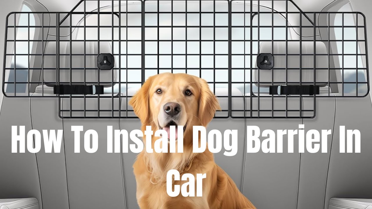 How To Install Dog Barrier In Car | Rabbitgoo Dog Barrier