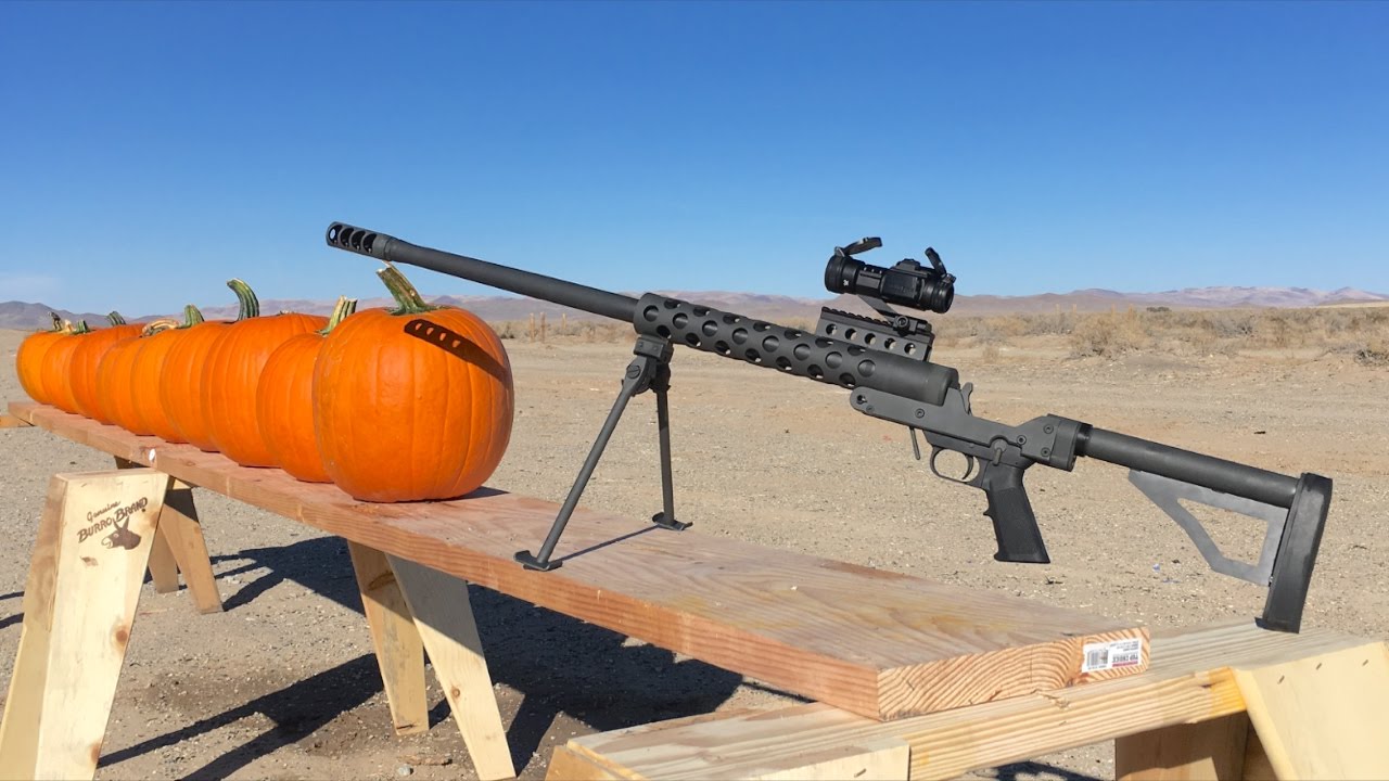 50 BMG VS PUMPKINS 🎃🎃🎃
