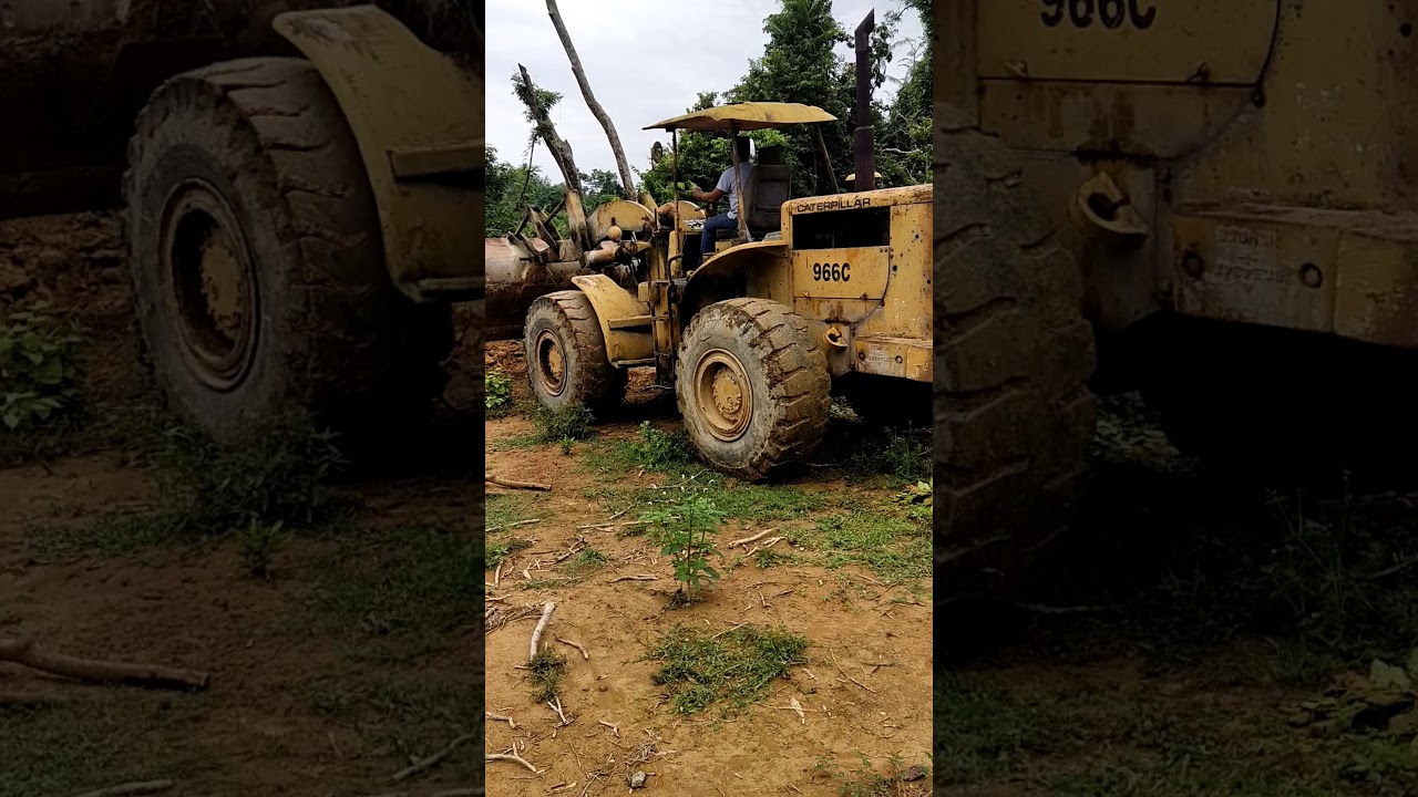 Old Cat 966c tolak busut tinggi