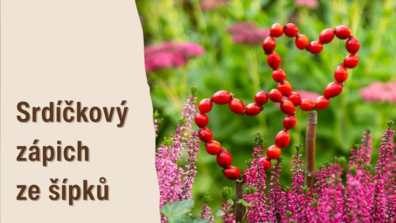 Srdíčkový zápich do květináče ze šípků