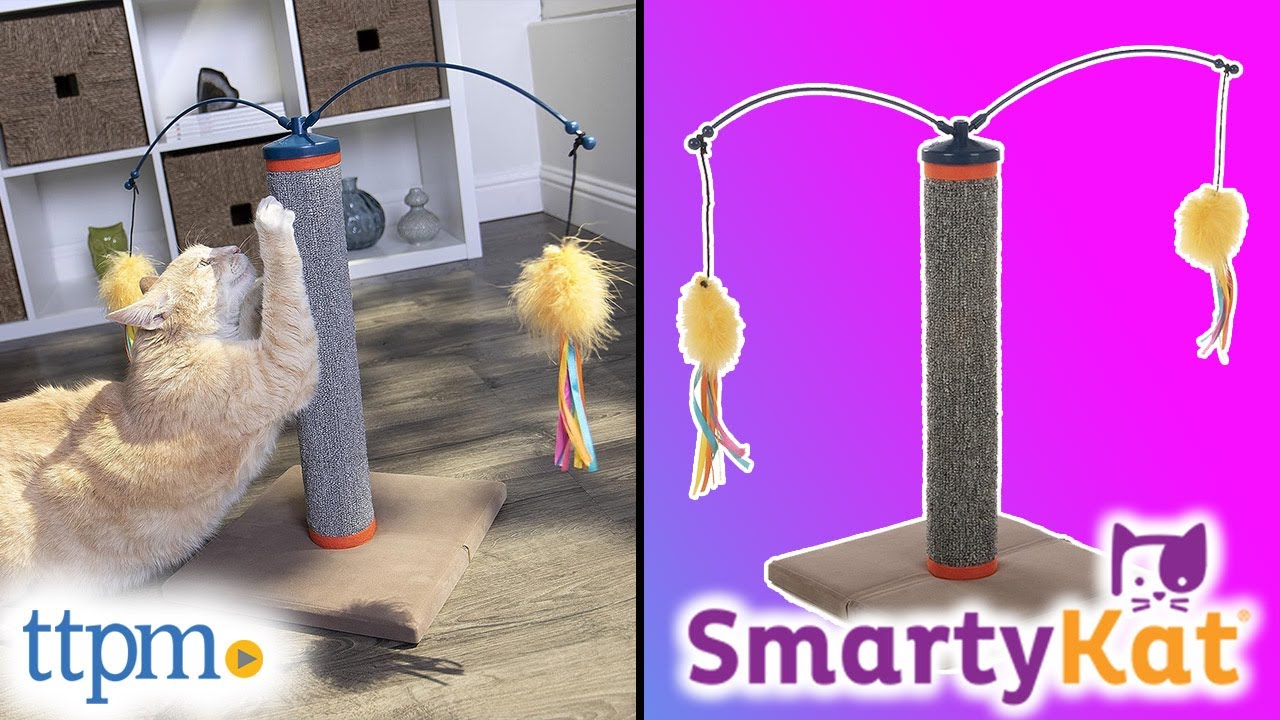 Scratch N' Spin Cat Toy