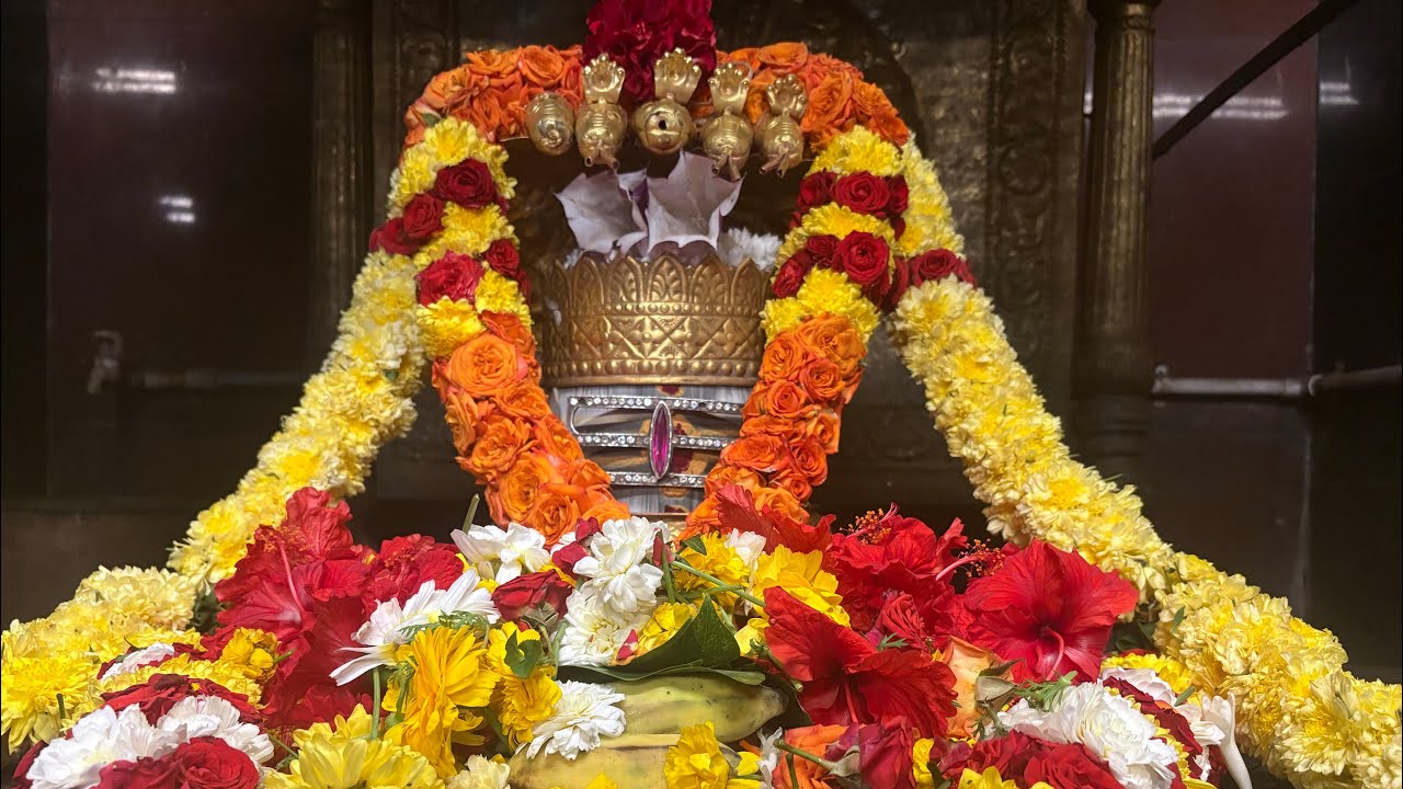 Getting Ready for Maha Shivaratri 🔱 | Sri Nageswara Swamy Temple |sullurpeta