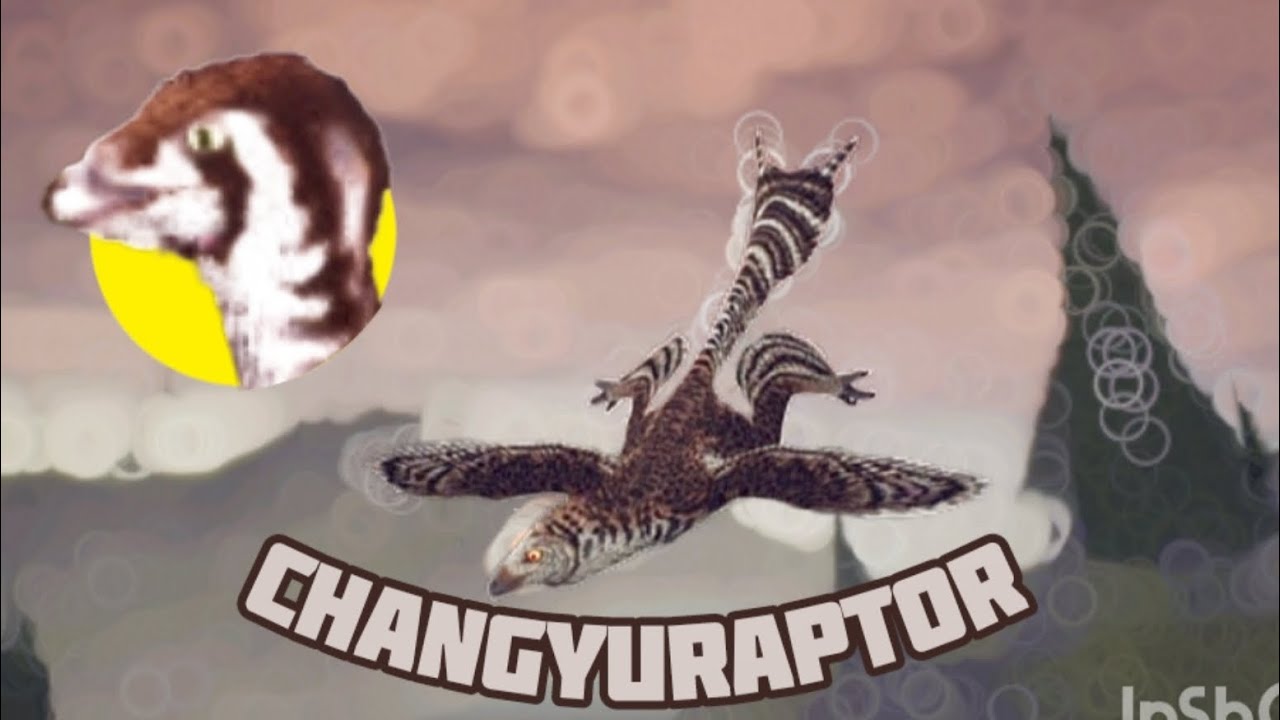 🐤Changyuraptor experience🐣 | the cursed dinosaur isle #thecurseddinosaurisle