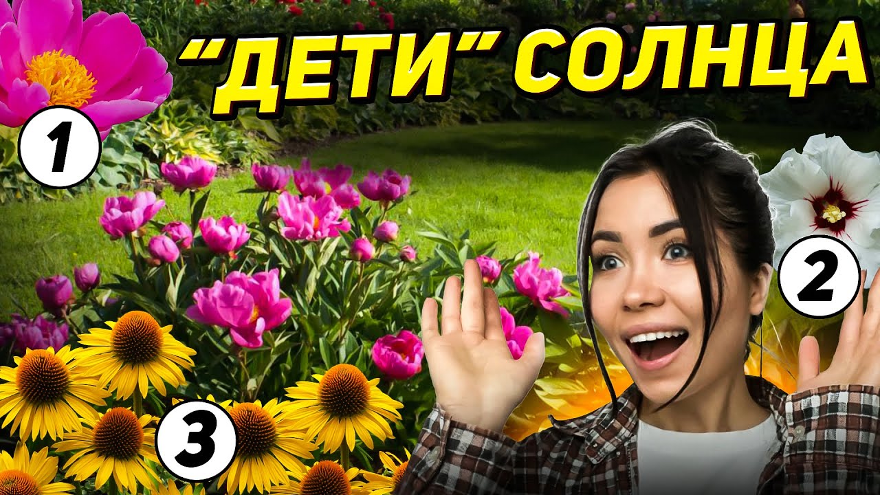 🔥🌼ЗАСУХА ИМ НЕ СТРАШНА! 10 неприхотливых многолетников полного солнца