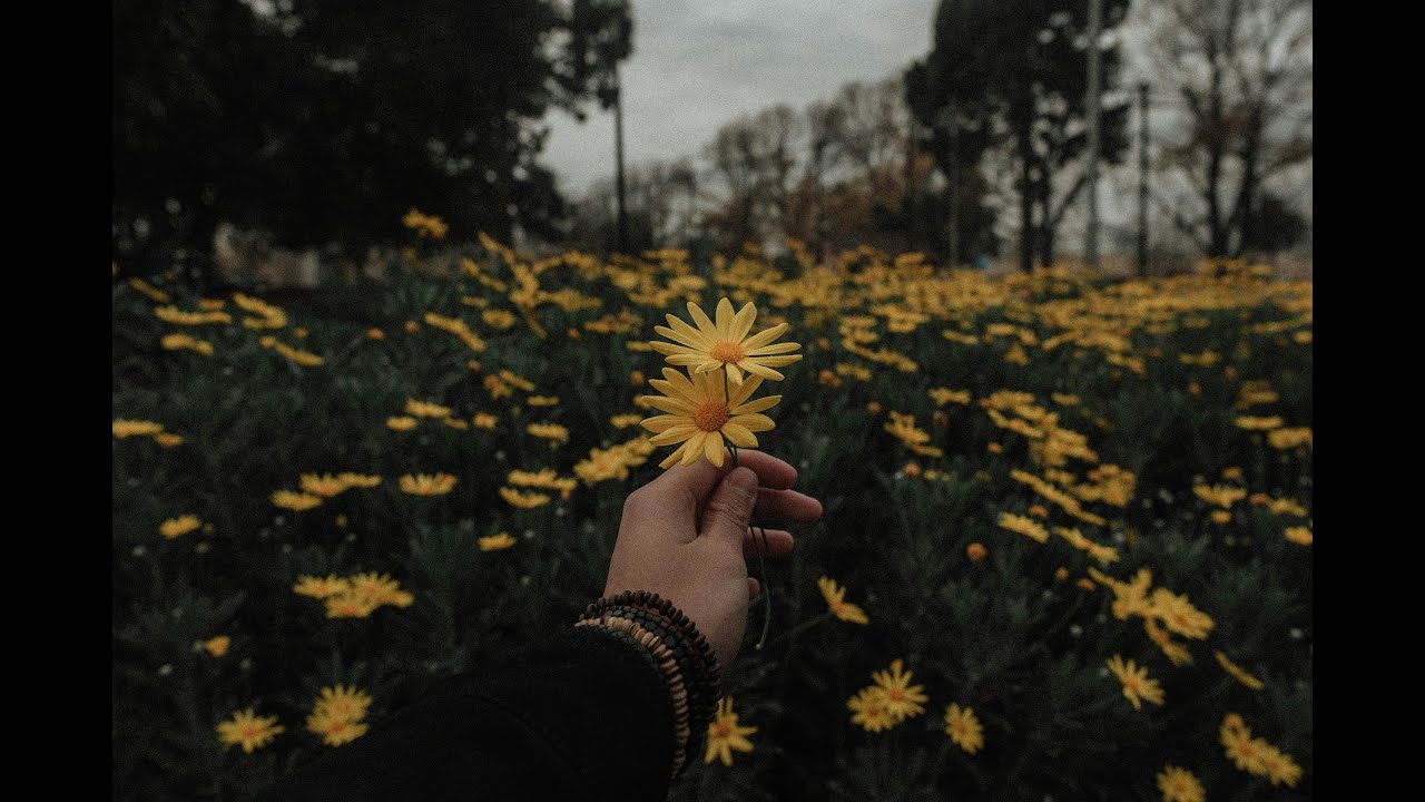 pov: you're tired. || a playlist to listen to while crying in silence ( sad vibes) ❤️‍🩹