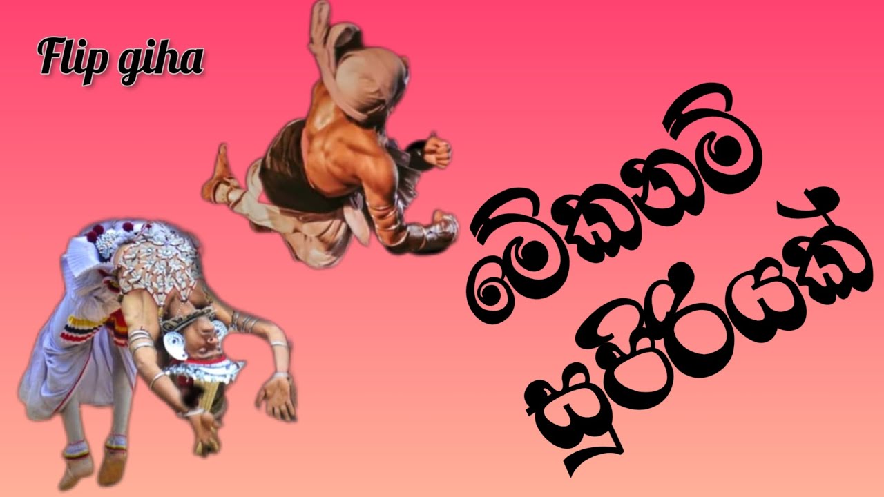 🤸#flip #giha#pantheru