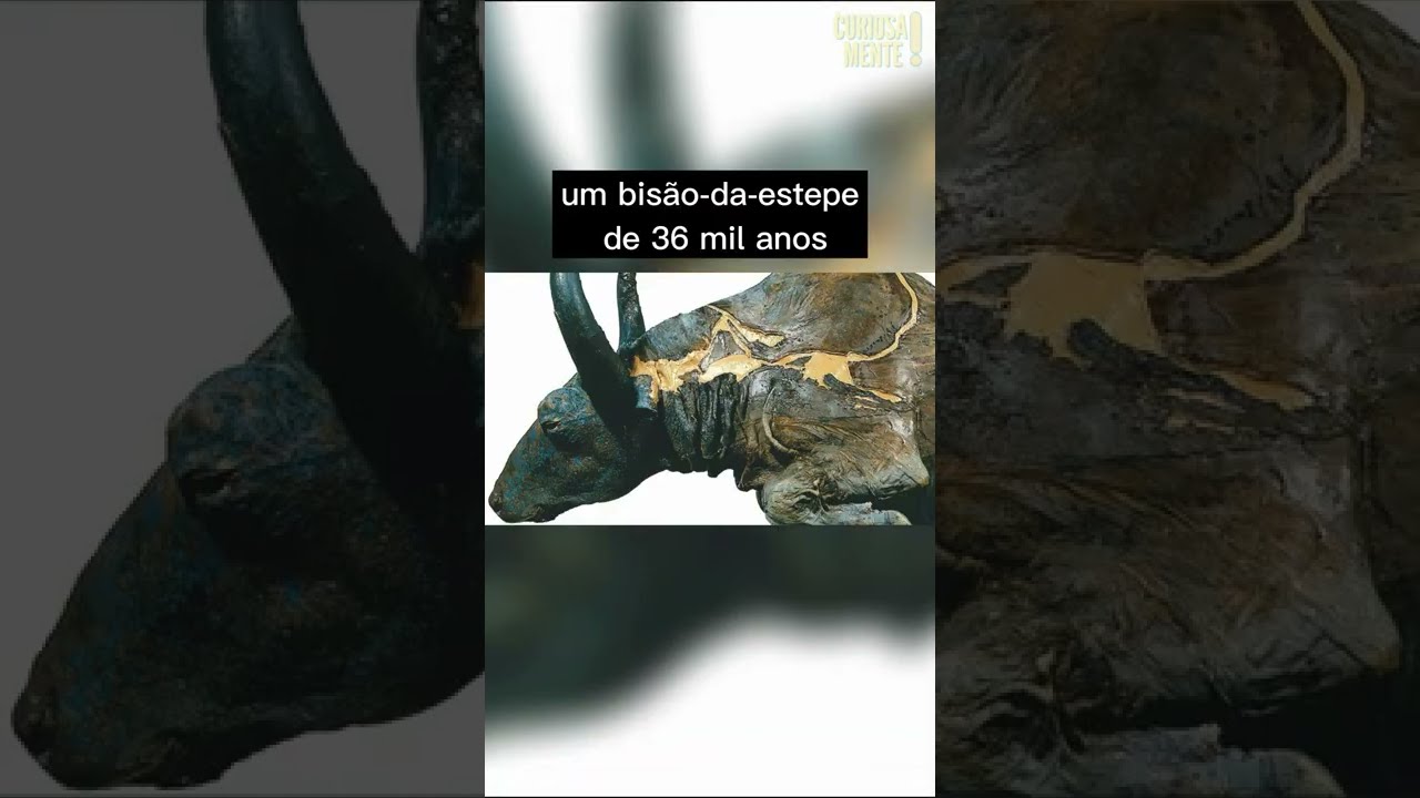 Coisas bizarras achadas debaixo do gelo part. 3🔎🧊😳 #short #curiosidades #shorts #shortvideo