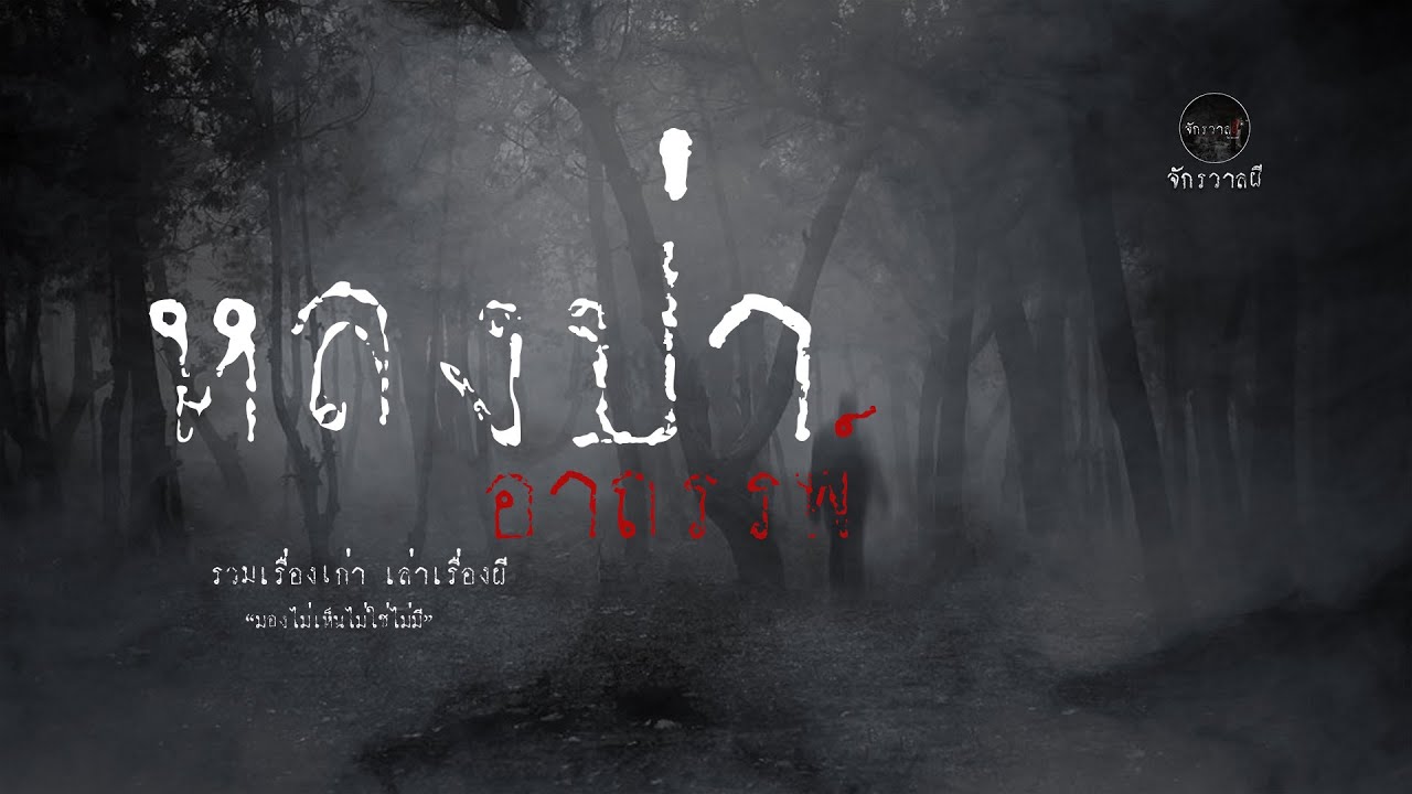 รวมเรื่องเล่าเก่าฟังยาวๆ  ตอน หลงป่าอาถรรพ์   EP80