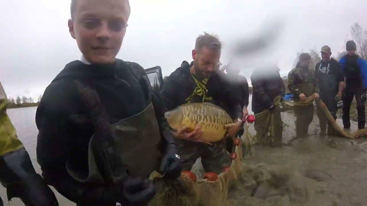 NG Fisheries netting the Bayeswater Syndicate Lake during the winter of 2022.